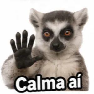 Calma aí - getsticker.com