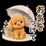 トイプードルの夏と梅雨のお天気カフェ