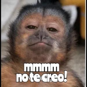 mmmm no te creo! - getsticker.com