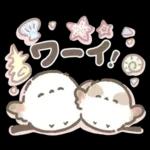 【夏】エナガさんとシマエナガさん12