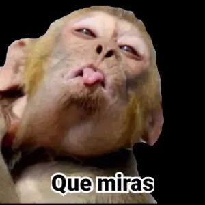 Que miras - getsticker.com