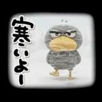 目ヂカラ強め☆ずんぐりなハシビロコウ②