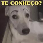 ja te mandei hj？