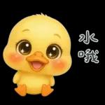 陰陽怪氣的小鴨鴨