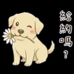 小拉拉 實用日常