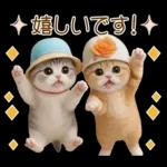 スコティッシュ猫 カラフル帽 夏 敬語
