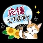 夏の毎日☆猫たちのスタンプ２