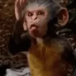 ملصقات 