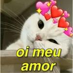 oi meu amor