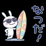 毎日使える夏☆ほぼ白うさぎ
