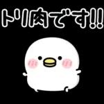 ちびトリ★冬の日常