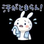 毎日使える夏☆ほぼ白うさぎ