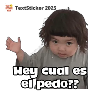 TextSticker 2025 Wey cual es el pedo?? - getsticker.com