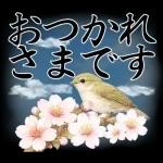 桜舞う！鶯と和桜の春を感じる挨拶スタンプ