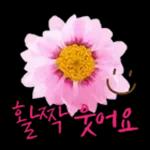 꽃으로 전하는 마음, 감사톡