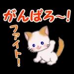 もふもふしっぽの子猫ちゃん　毎日使う言葉