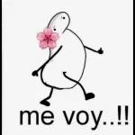 buenas tardes Mercado Libre