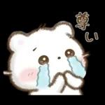 しろいこ組♡くまの気持ち伝える