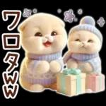 冬の猫のスコティッシュ【よく使う言葉】