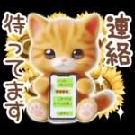 毎日送りやすい茶トラのスタンプ♡