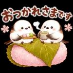 春のシマエナガ♪