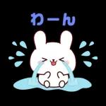 連絡白うさちゃん