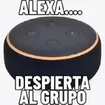 pendejo