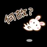 夏間近❣ハート耳のうさぎさん