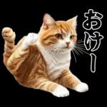 生成失敗猫【毒舌・煽り・煽る・シュール】