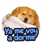 Puro amor 🫶