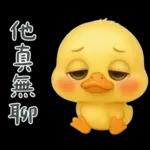 陰陽怪氣的小鴨鴨
