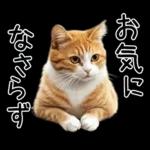 リアルな猫の敬語