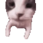 이대로 놓칠 건가요?