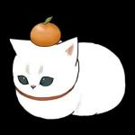 あけおめにゃん午