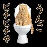 うんこ★リアルな猫