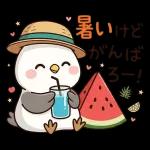 ことりと爽やかな夏
