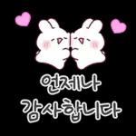 사랑뿜뿜 감사충만 토린이