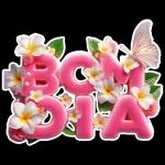 Boa Noite