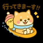 あったか柴犬の冬ごあいさつ