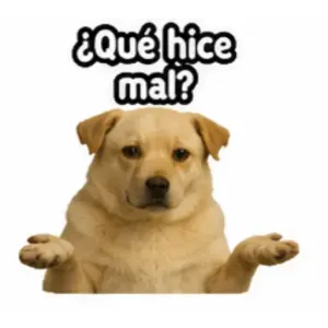 ¿Qué hice mal? - getsticker.com