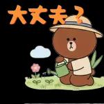 ぽかぽかくまさんの春