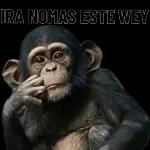 embeces la bida no es como keremos