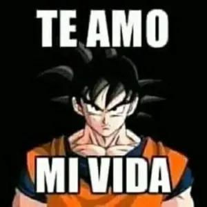 TE AMO MI VIDA - getsticker.com