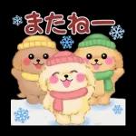 Animation only icon かわいいトイプードルの冬