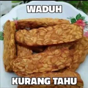 WADUH KURANG TAHU - getsticker.com