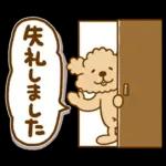 トイプーのぷう太郎 連絡用2(フキダシ)