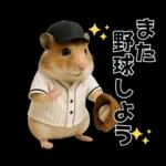 【新】リアル野球ハムスター