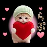 ずっと使える メロン帽が可愛い 猫とウサギ