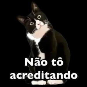 Não tô acreditando - getsticker.com