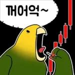 투자 전문가, 껄무새